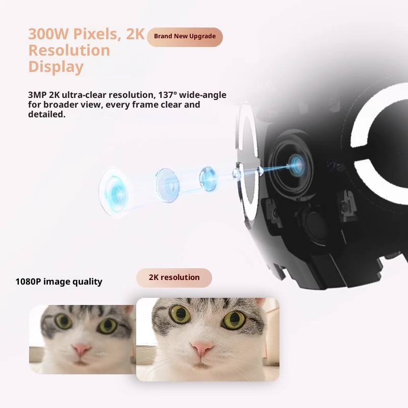 Enabot ROLA Mini Smart Robot I – Smart Home News Bewertung und Preis