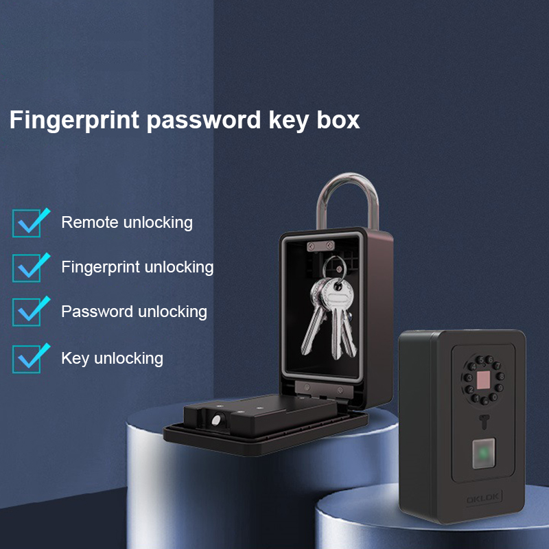 Intelligentes Vorhängeschloss  – Smart Home Security Bewertung und Preis
